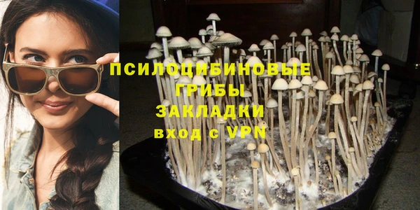 МДПВ Волосово