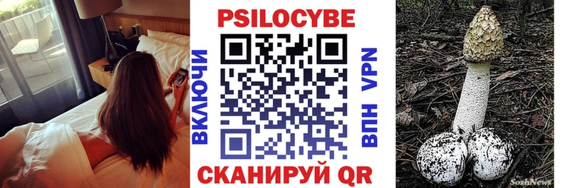 Псилоцибиновые грибы мицелий  купить наркотики сайты  Карачев 